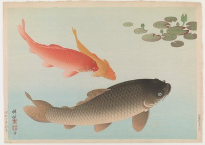 Carp by Ohara Koson
